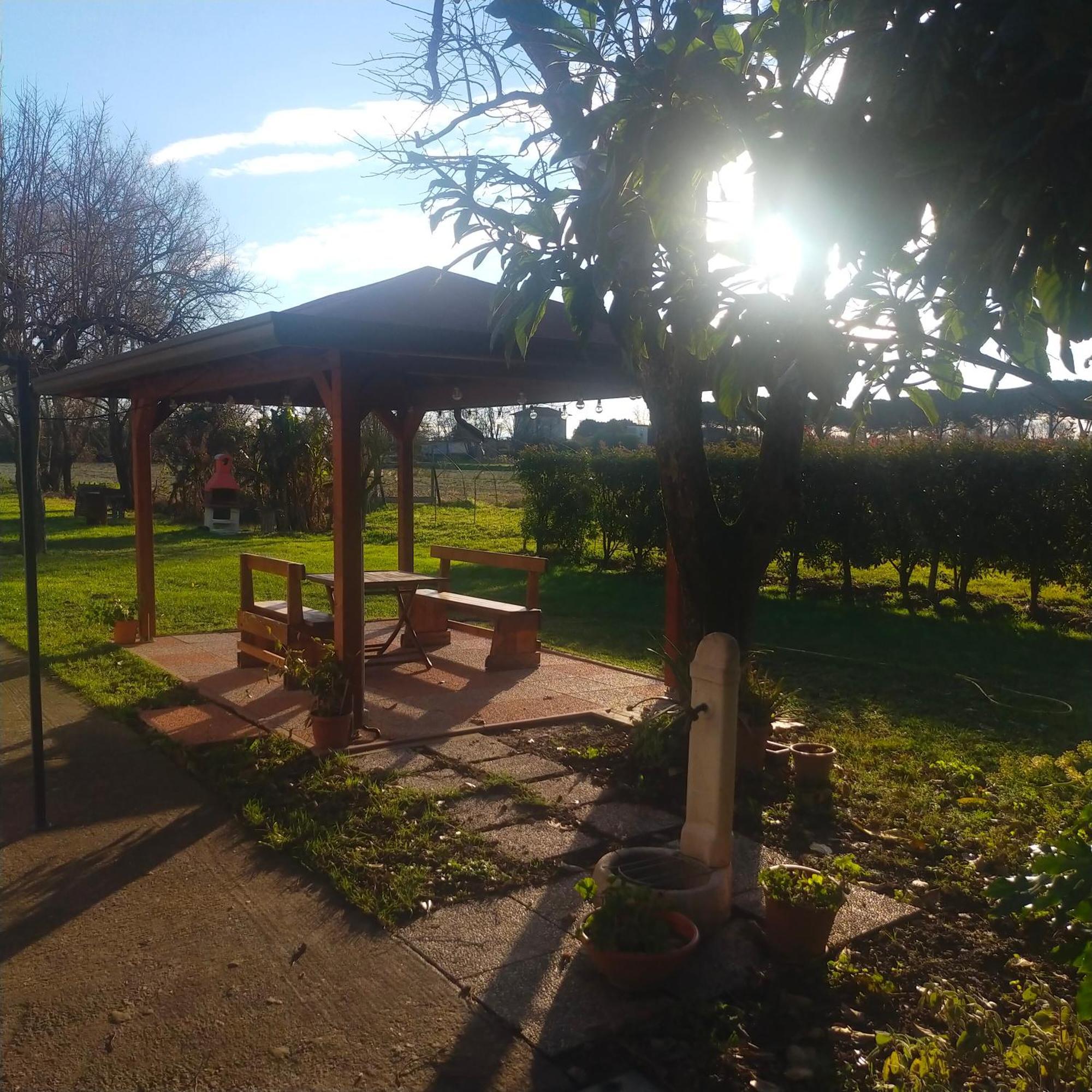Mimoza Camper Hotel บิบิโอเน ภายนอก รูปภาพ